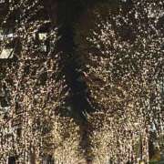 ヒメ日記 2025/12/20 09:10 投稿 花 ぽっちゃり熟女 ～バカラ～