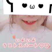 ヒメ日記 2025/11/01 03:48 投稿 めい 群馬渋川水沢ちゃんこ