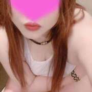 ヒメ日記 2025/11/06 06:38 投稿 めい 群馬渋川水沢ちゃんこ