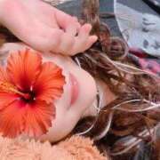 ヒメ日記 2025/11/20 13:28 投稿 めい 群馬渋川水沢ちゃんこ