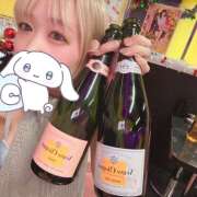 ヒメ日記 2024/12/16 20:19 投稿 みなと みつばちマーヤZ