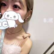 ヒメ日記 2024/12/23 21:22 投稿 みなと みつばちマーヤZ