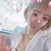 ヒメ日記 2025/02/03 20:23 投稿 みなと みつばちマーヤZ