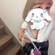 ヒメ日記 2025/02/06 19:54 投稿 みなと みつばちマーヤZ