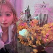 ヒメ日記 2025/02/08 17:27 投稿 みなと みつばちマーヤZ