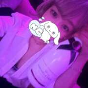 ヒメ日記 2025/02/12 21:22 投稿 みなと みつばちマーヤZ