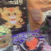 ヒメ日記 2025/02/24 02:11 投稿 みなと みつばちマーヤZ