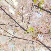 ヒメ日記 2025/04/11 12:42 投稿 ちか 錦糸町ちゃんこ