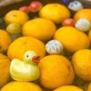 ヒメ日記 2025/05/29 21:02 投稿 ちか 錦糸町ちゃんこ