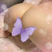 ヒメ日記 2025/09/29 14:24 投稿 みずき かぐや本舗