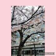 あやね お久しぶりです モアグループ神栖人妻花壇