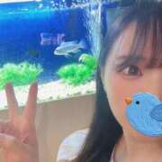 ヒメ日記 2025/07/26 11:20 投稿 うらら ごほうびSPA池袋店