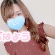 ヒメ日記 2025/08/08 14:00 投稿 らら 山梨　デリヘル No.1 『Sコレクション』 甲府