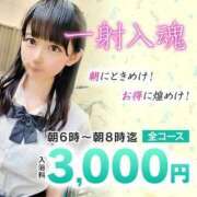 ヒメ日記 2024/12/19 06:14 投稿 ひなの エデン
