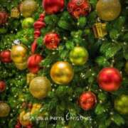 ヒメ日記 2024/12/24 18:34 投稿 れいな AVANCE福岡