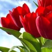 ヒメ日記 2025/04/25 18:31 投稿 れいな AVANCE福岡