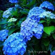 ヒメ日記 2025/05/21 16:12 投稿 れいな AVANCE福岡