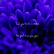 ヒメ日記 2025/05/25 17:26 投稿 れいな AVANCE福岡