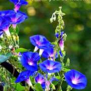 れいな ありがとう AVANCE福岡