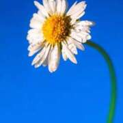 れいな Re:出勤 AVANCE福岡