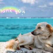 ヒメ日記 2025/01/31 13:00 投稿 さおり 奥鉄オクテツ神奈川店（デリヘル市場グループ）