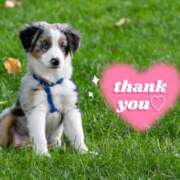 ヒメ日記 2025/03/18 11:50 投稿 さおり 奥鉄オクテツ神奈川店（デリヘル市場グループ）