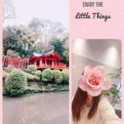 ヒメ日記 2025/04/03 14:05 投稿 さおり 奥鉄オクテツ神奈川店（デリヘル市場グループ）