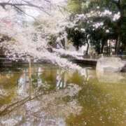 ヒメ日記 2025/04/08 18:10 投稿 さおり 奥鉄オクテツ神奈川店（デリヘル市場グループ）