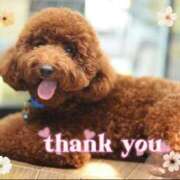 ヒメ日記 2025/05/17 09:35 投稿 さおり 奥鉄オクテツ神奈川店（デリヘル市場グループ）