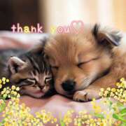 ヒメ日記 2025/05/19 17:55 投稿 さおり 奥鉄オクテツ神奈川店（デリヘル市場グループ）