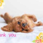 ヒメ日記 2025/05/29 08:10 投稿 さおり 奥鉄オクテツ神奈川店（デリヘル市場グループ）