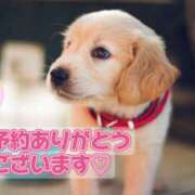 ヒメ日記 2025/06/03 12:30 投稿 さおり 奥鉄オクテツ神奈川店（デリヘル市場グループ）