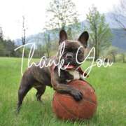 ヒメ日記 2025/06/27 09:10 投稿 さおり 奥鉄オクテツ神奈川店（デリヘル市場グループ）