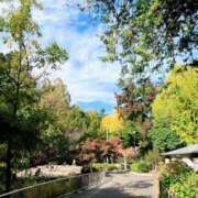 ヒメ日記 2025/11/16 13:10 投稿 さおり 奥鉄オクテツ神奈川店（デリヘル市場グループ）