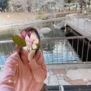 ヒメ日記 2026/01/02 14:40 投稿 さおり 奥鉄オクテツ神奈川店（デリヘル市場グループ）