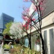 ヒメ日記 2026/03/29 12:50 投稿 さおり 奥鉄オクテツ神奈川店（デリヘル市場グループ）
