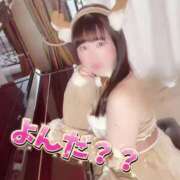 ヒメ日記 2024/12/12 17:19 投稿 柏木なぎ ウルトラホワイト