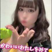 ヒメ日記 2025/02/25 20:13 投稿 柏木なぎ ウルトラホワイト