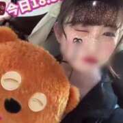 ヒメ日記 2025/03/01 08:05 投稿 柏木なぎ ウルトラホワイト