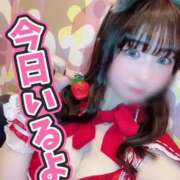 ヒメ日記 2025/04/06 08:48 投稿 柏木なぎ ウルトラホワイト