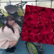 ヒメ日記 2025/04/14 08:13 投稿 柏木なぎ ウルトラホワイト