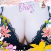 ヒメ日記 2025/02/22 20:31 投稿 ひとみ(昭和53年生まれ) 熟年カップル名古屋～生電話からの営み～