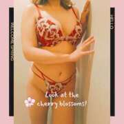 ヒメ日記 2025/03/05 08:08 投稿 ひとみ(昭和53年生まれ) 熟年カップル名古屋～生電話からの営み～