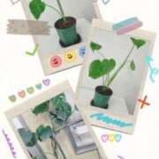 ヒメ日記 2026/01/12 10:06 投稿 ひとみ(昭和53年生まれ) 熟年カップル名古屋～生電話からの営み～