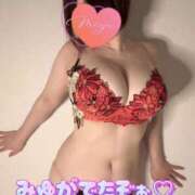 ヒメ日記 2026/03/29 12:45 投稿 みゆ ごほうびSPA広島店