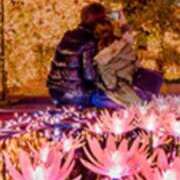 ヒメ日記 2024/12/30 02:06 投稿 ひなの沖縄美人 俺のジュニア