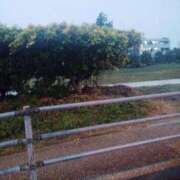 ヒメ日記 2025/01/02 07:16 投稿 ひなの沖縄美人 俺のジュニア