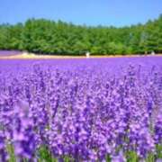 ヒメ日記 2025/01/04 02:57 投稿 ひなの沖縄美人 俺のジュニア