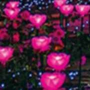 ヒメ日記 2025/01/10 22:26 投稿 ひなの沖縄美人 俺のジュニア