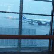 ヒメ日記 2025/04/01 07:56 投稿 ひなの沖縄美人 俺のジュニア